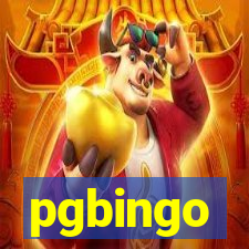 pgbingo