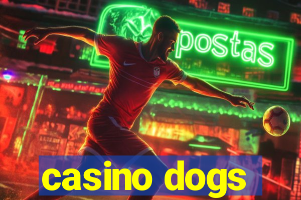 casino dogs