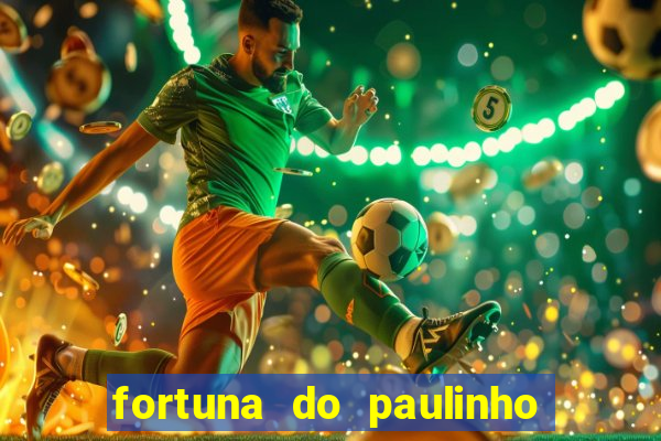 fortuna do paulinho do roupa nova