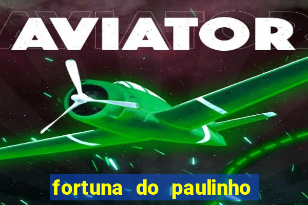 fortuna do paulinho do roupa nova