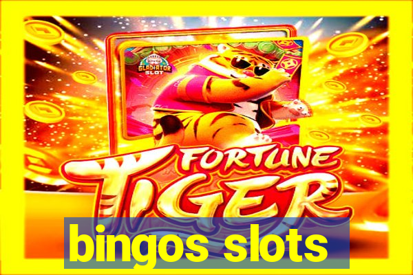 bingos slots