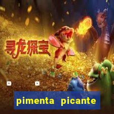 pimenta picante stardew valley