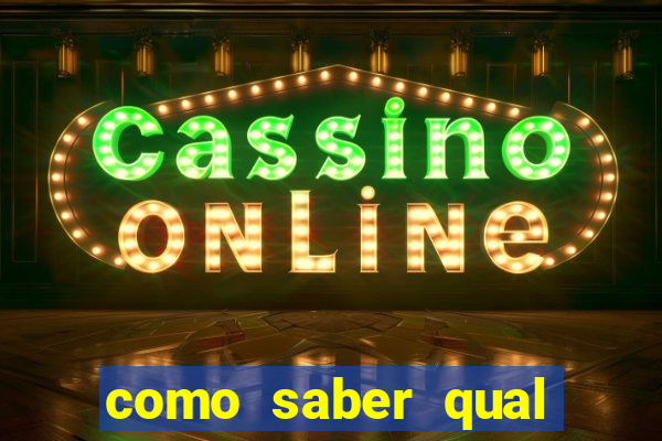 como saber qual bet ta pagando