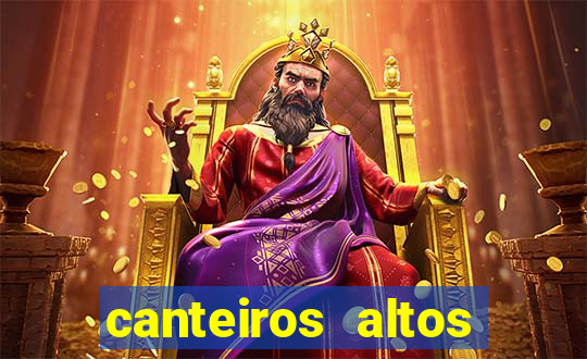 canteiros altos para horta