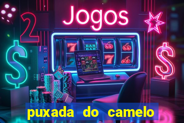 puxada do camelo no jogo do bicho