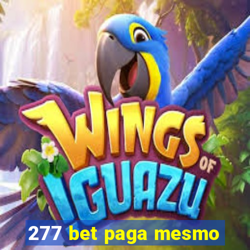 277 bet paga mesmo