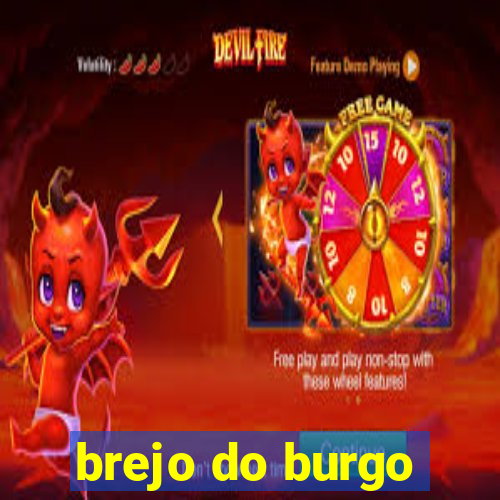 brejo do burgo