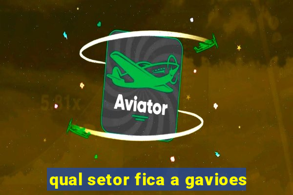 qual setor fica a gavioes