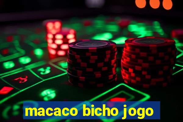 macaco bicho jogo