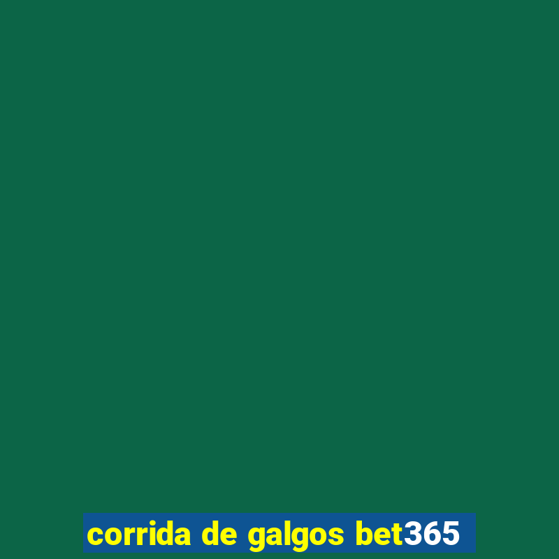 corrida de galgos bet365