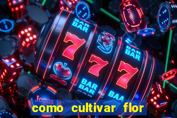 como cultivar flor da fortuna em vasos