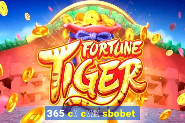 365 c谩 c瓢峄 sbobet