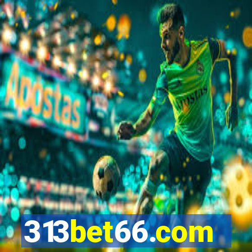 313bet66.com