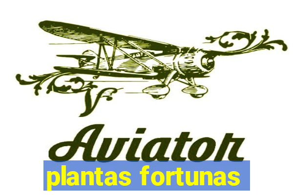 plantas fortunas