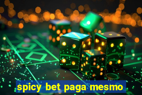 spicy bet paga mesmo