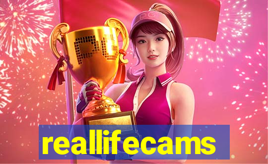 reallifecams