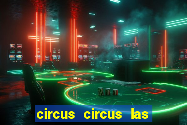 circus circus las vegas hotel and casino