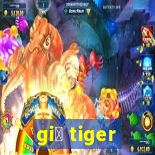 gi谩 tiger