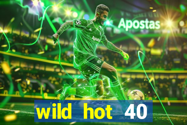 wild hot 40 christmas slot