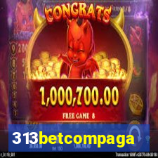 313betcompaga