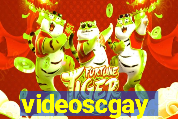 videoscgay