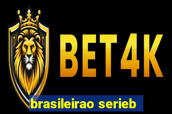 brasileirao serieb