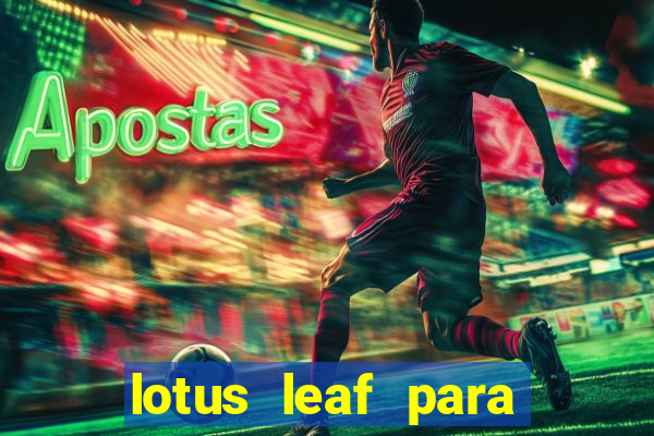 lotus leaf para que serve