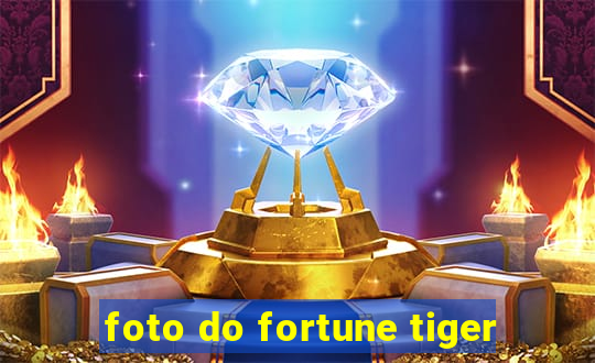 foto do fortune tiger