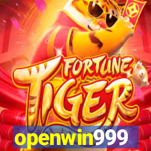 openwin999