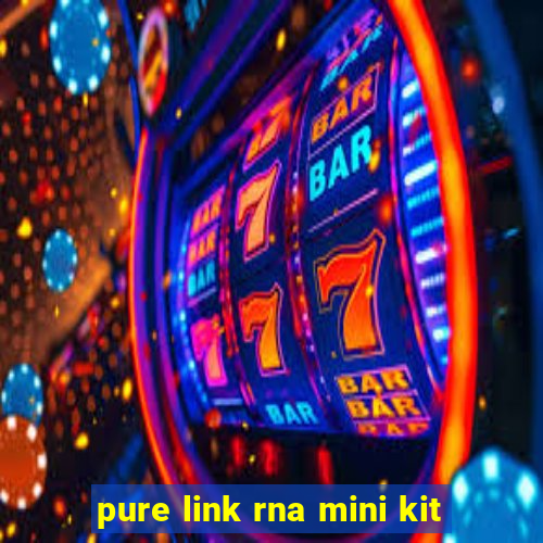 pure link rna mini kit