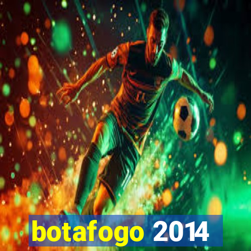 botafogo 2014