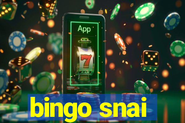 bingo snai