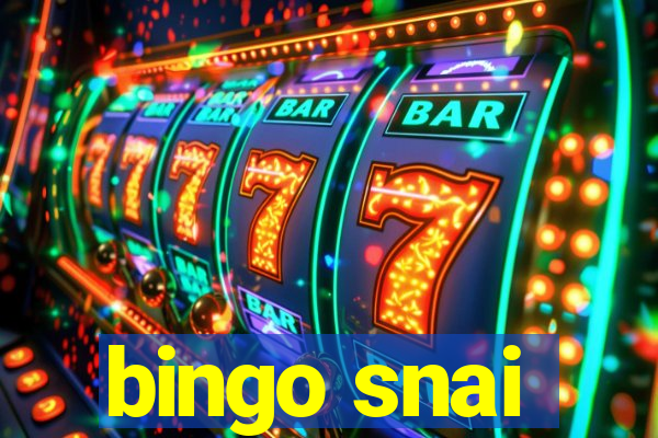 bingo snai