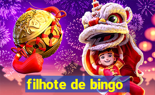 filhote de bingo