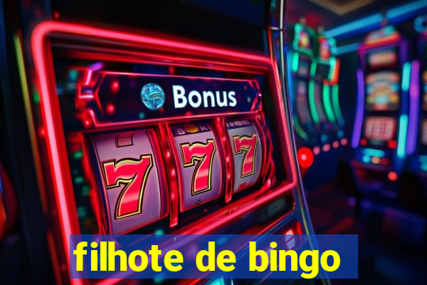 filhote de bingo