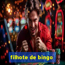 filhote de bingo