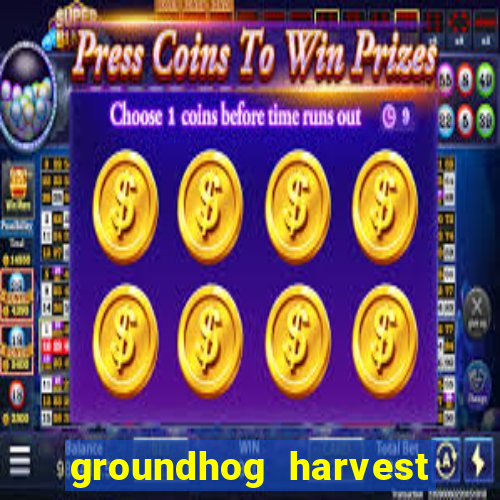 groundhog harvest pg slot