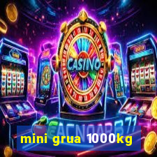 mini grua 1000kg