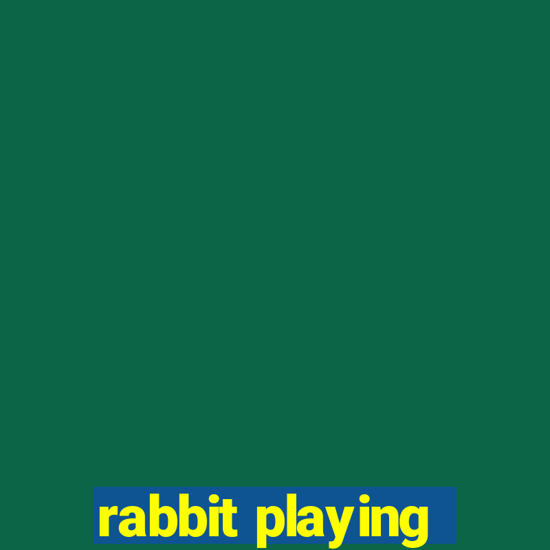 rabbit playing