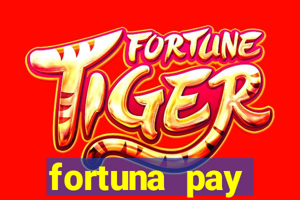 fortuna pay consultoria financeira ltda