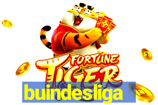 buindesliga