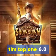 tim top one 6.0