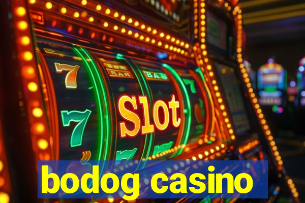 bodog casino