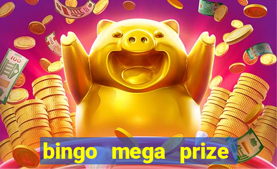 bingo mega prize paga mesmo