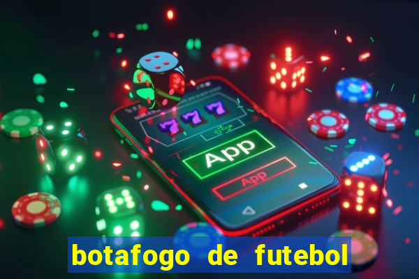 botafogo de futebol e reg