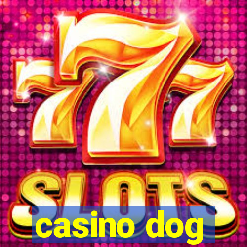 casino dog