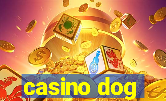 casino dog