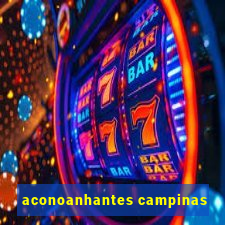 aconoanhantes campinas