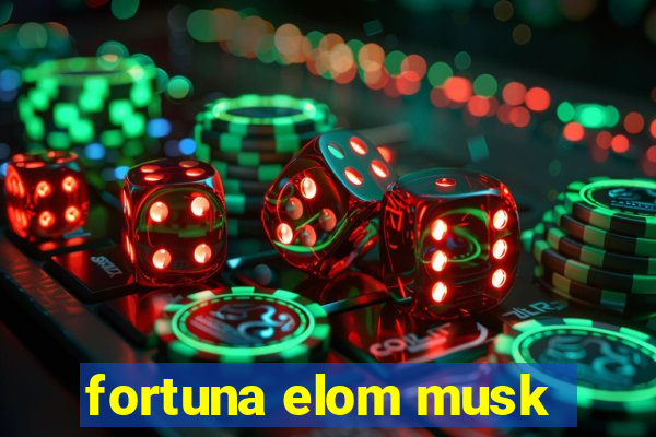 fortuna elom musk