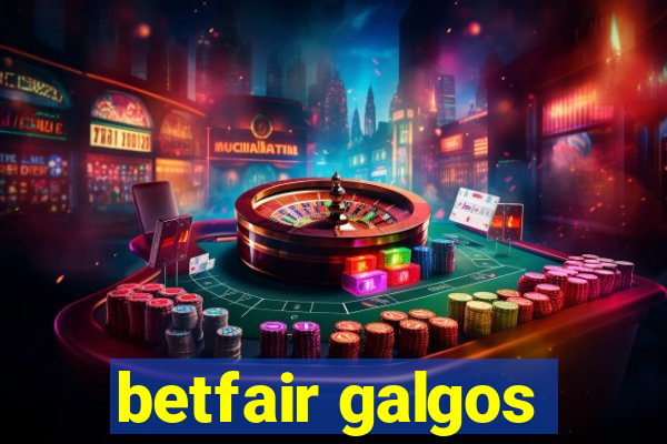 betfair galgos